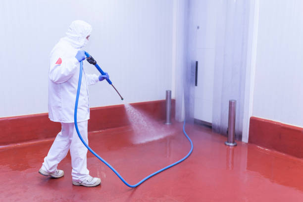 Animal Enclosure Cleaning in El Lago, TX