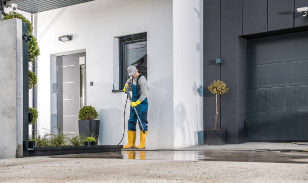 Best Animal Enclosure Cleaning  in El Lago, TX